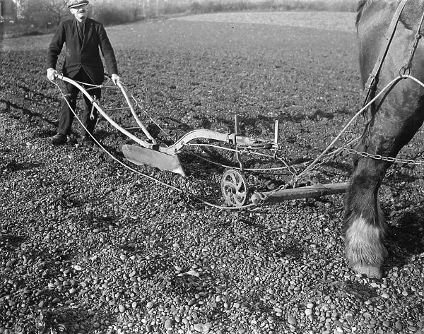 A farmer and his horse plough a stony field. 1939