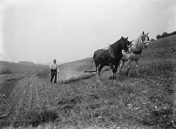 A farmer and his horse team harrowing a field in Farningham. 1935