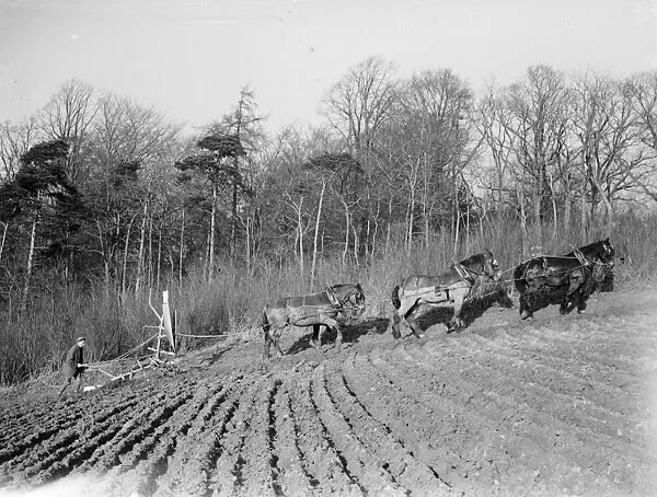 A farmer and his horse team plough a field in the Darenth Valley in Kent. 1937