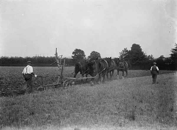 A farmer and his horse team plough a field in Paddock Wood. 1935