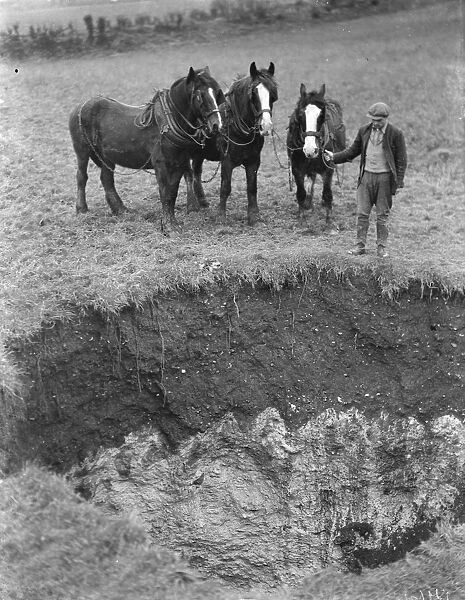 A farmer with a team of horses examine the site where subsidence has taken place