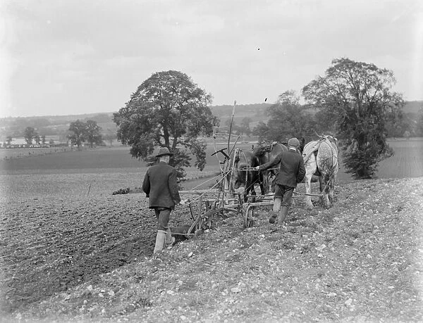 A farmer and his team of horses plough a field. 1935