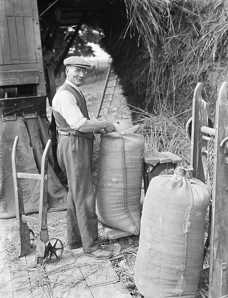A farmer threshes hay. 1936