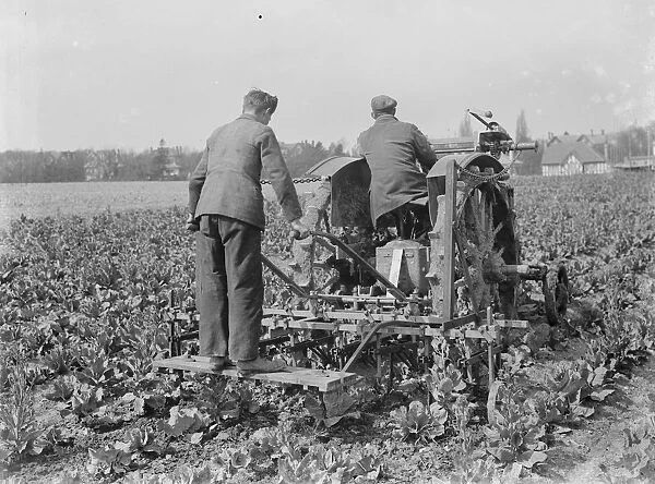 A farmer and his tractor at work in a field. 1935