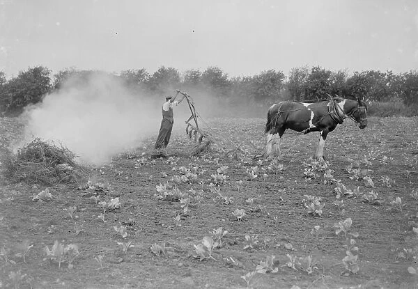Farmers burning field rubber. 1935