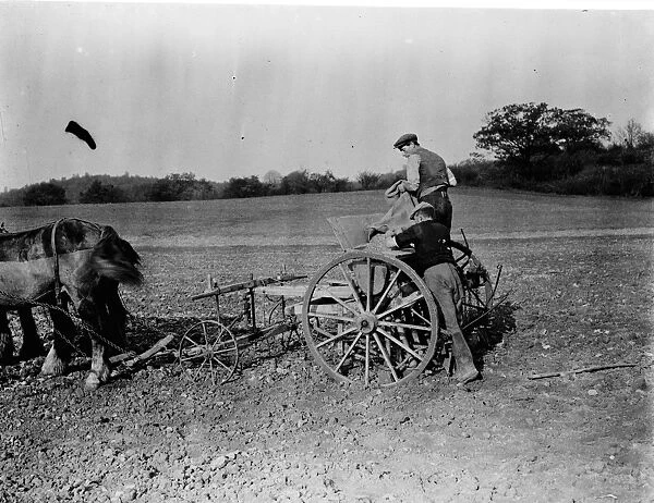 Farmers with their horse drawn Suntyne seed drill in Darenth, Kent. 1938