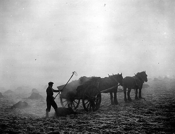 Farming - dung spreading in February 1939