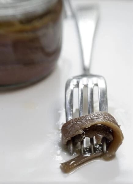 Fillets of anchovies in oil in preserving jar, with single fillet on a fork credit