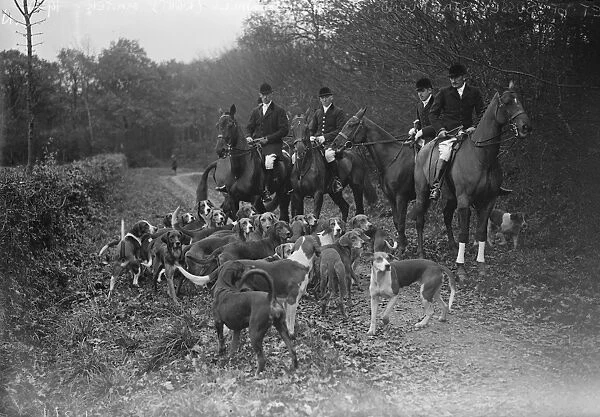 First of a pack of Sussex staghounds, famous actor as master. Mr Tom Walls, the