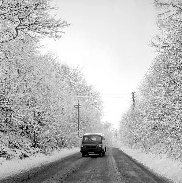Flimwell, Sussex: Snow laden trees lining a country road near Flimwell, Sussex, give