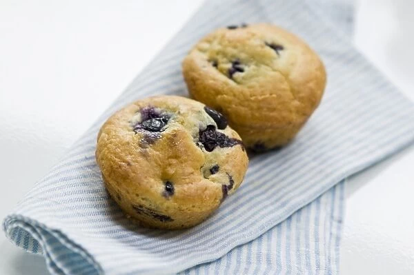 Freshly baked blueberry muffin on blue striped napkin. credit: Marie-Louise Avery