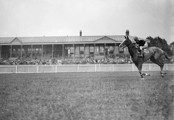 Gatwick Racecourse, Sussex, England. Letsgo ridden by M Hunter, cantering