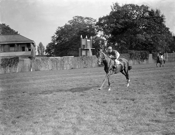 Gatwick racecourse, Sussex, England. World Calling cantering down the racecourse ( jockey