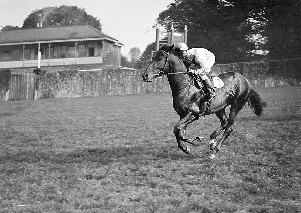Gatwick Racecourse, Sussex, England. Caprisho ridden by K Gethin, cantering