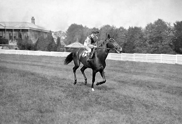 Gatwick Races, west Sussex, England. Rawana, ridden by Gordon Richards, canters