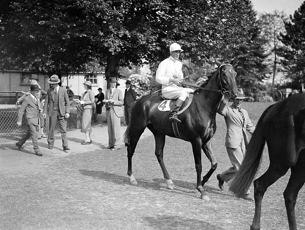 Gatwick races, west Sussex, England Zelmos, ridden by W Sibbritt, canters