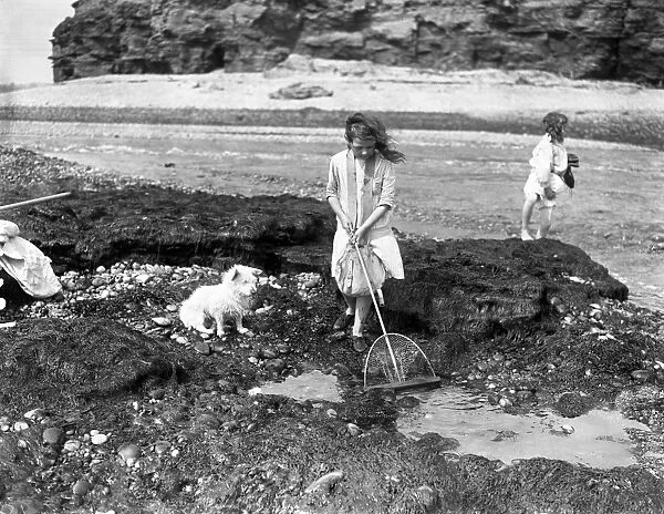 A girl with her pet dog fishing for crabs in rock pools at Budleigh Salterton, Devon