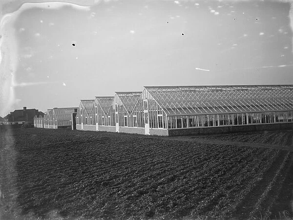 Glass houses at the Horticultural College, Swanley, Kent. 1935