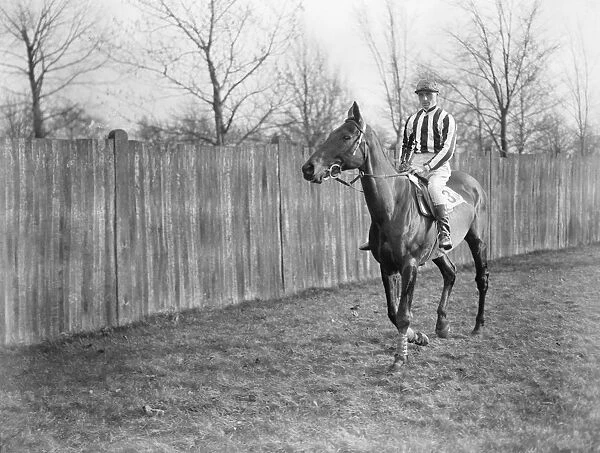 The Grand National at Liverpool. Mr Wideners Duettiste, ( A Escott up )
