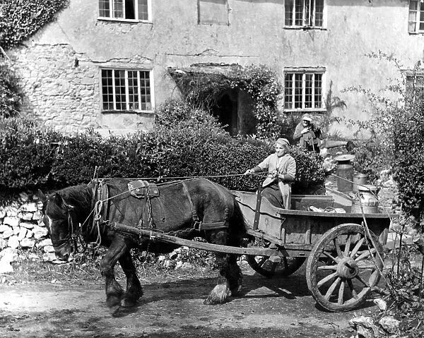 Grand old lady farmer from Devonshire with her horse and cart and milk churns. May 1950