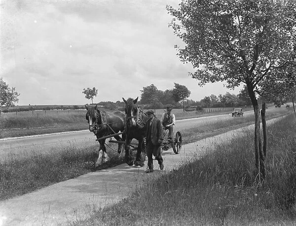 Grass cutting in Chelsfield, Kent, using a horse drawn mower. 1936