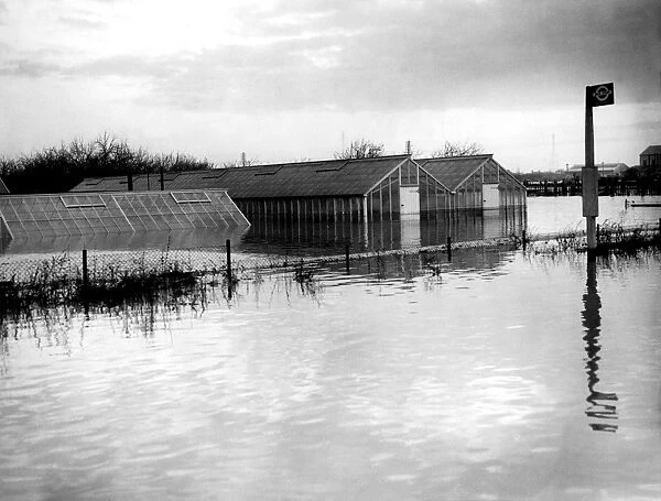 Greenhouses were flooded out in the great floods along the path of the Thames in