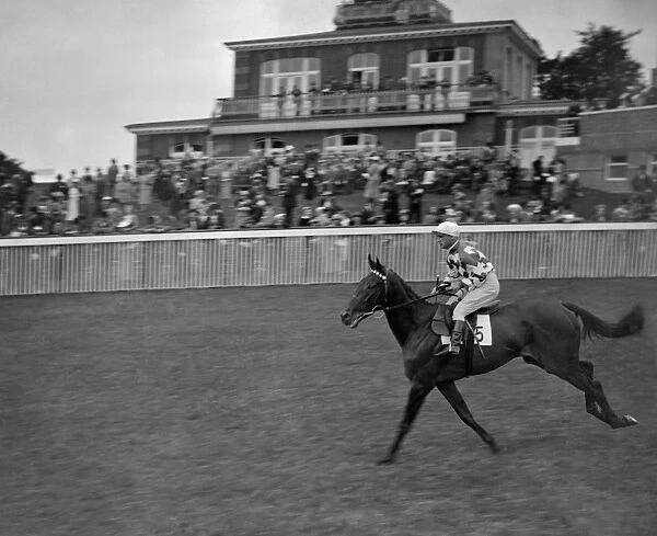 Halycon Gift at Goodwood Racecourse. 1937