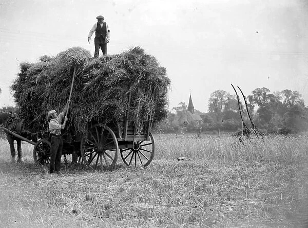 Harvest Scene, Foots Gray. 1934