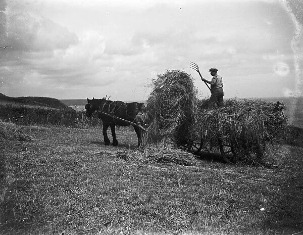 Haymaking in Cadgwith, Cornwall. Horse, cart, farmer, pitchfork. 1933
