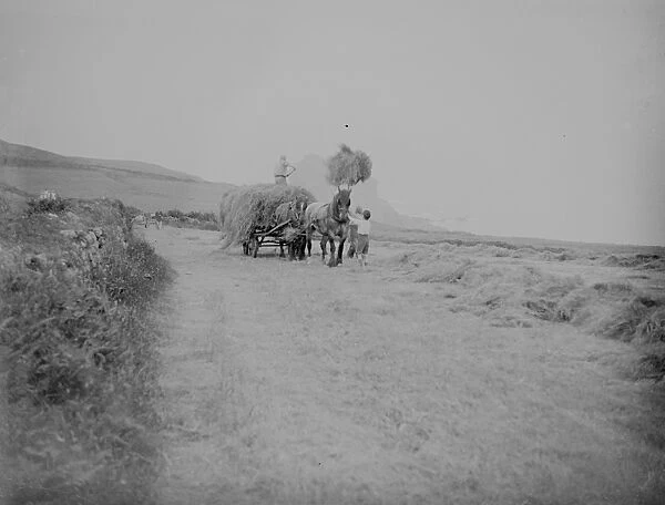 Haymaking, Gurnards Head, Cornwall. Horse, cart, farmer, pitchfork. 1933