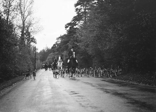 The head huntsman leads the pack along the road. 25 October 1937