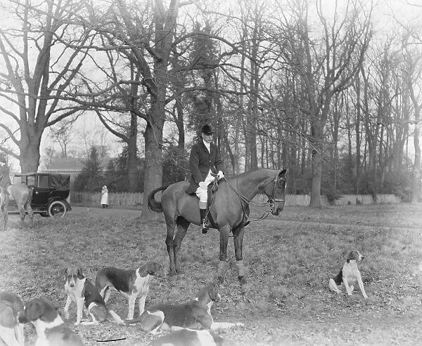 Hertfordshire hunt meet. There was a meet of the Hertfordshire Hounds at Cole Green
