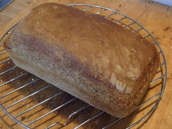 Home made brown wholemeal loaf fresh from oven on cooling rack. credit: Marie-Louise