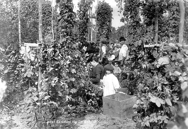 Hop pickers c 1901 Kent