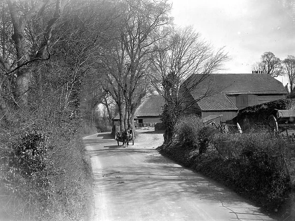 Horse and cart on a country lane. 1934