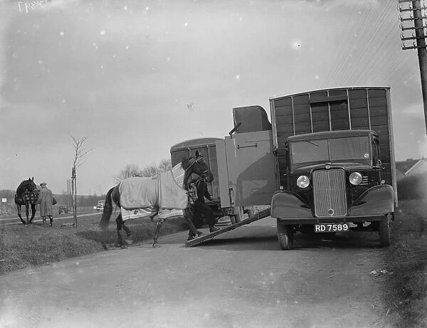 A horse is being led into a Bedford truck horse box. 1936