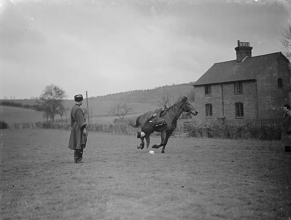 Horse trick riding in Eynsford, Kent. Hanging from the stirrup and picking an