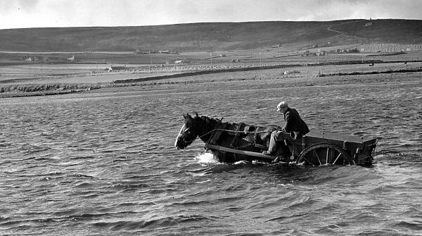 Horse working driving trade cart through water