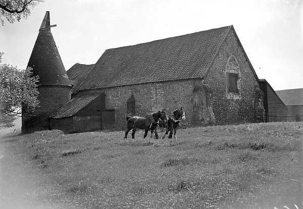 Horses on a field in front of a Barn Church with oast house  /  hop kiln