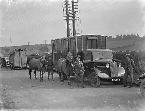 Two horses being led away from a Bedford truck horse box. 1936