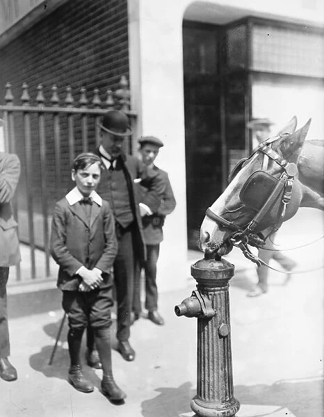 Hot weather scene in Fleet Street Horse drinks from hydrant 22 May 1922