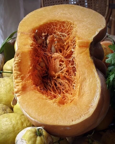 Huge pumpkin cut through showing fibrous interior with seeeds, surrounded by large