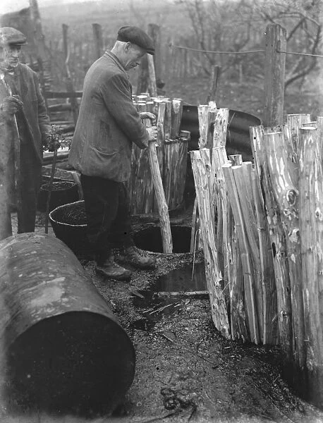 Hurdle making in Cuxton, Kent. Tanning the posts. 1937