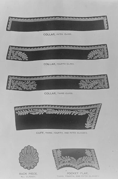 Illustration from Mr H Trendells book Dress and Insignia Worn at Court. Embroidery