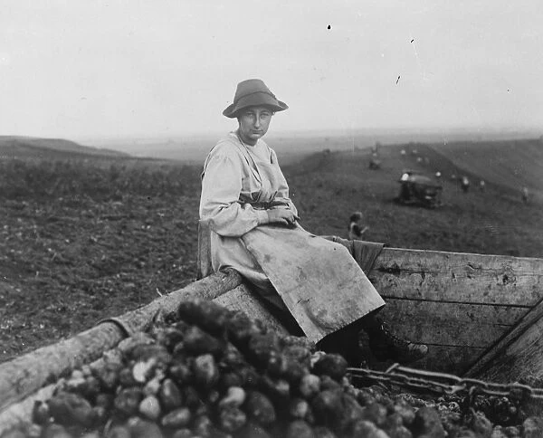 Kings sister works in potato fields. Princess Eudoxia of Bulgaria, photographed