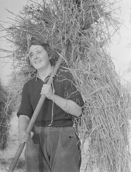 Land girl working on a farm, using a pitchfork to carry hay. 1939