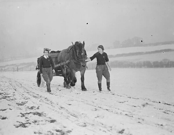 Land girls working on a farm. Here they are using a horse drawn cart to carry things