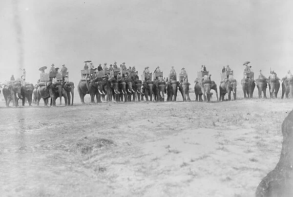 Line of Shooting Elephants Prime Minister of Nepal in sixth howdah from left 12