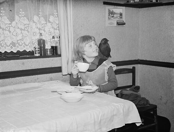 Little Ann Bowers at breakfast with her tame jackdaw, Eynsford, Kent