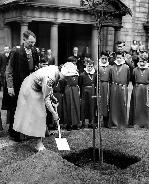Her Majesty Queen Elizabeth II planting a tree in Canongate Kirk to mark her visit